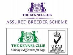 kc assured breeders